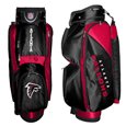 Wilson NFL 2010